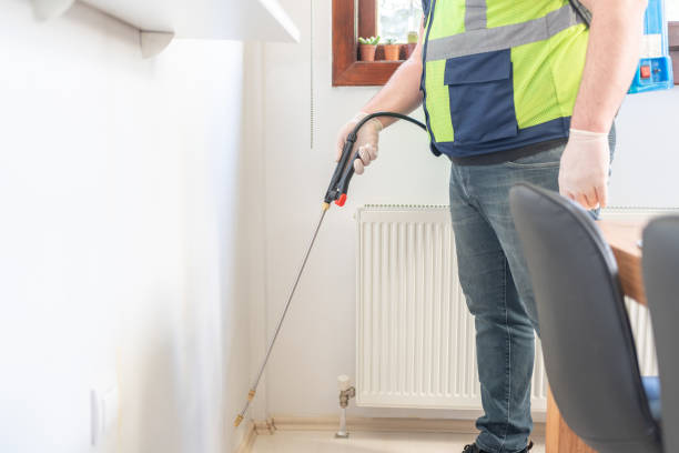 Best Flea Control Services  in St John, IN