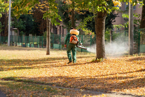 Best Wasp Removal Services  in St John, IN